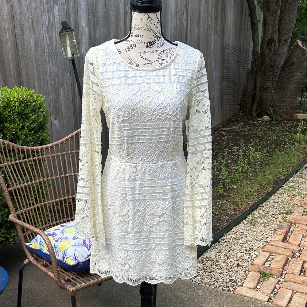 Trixxi Elegant Lace Long Sleeve Dress in Cream